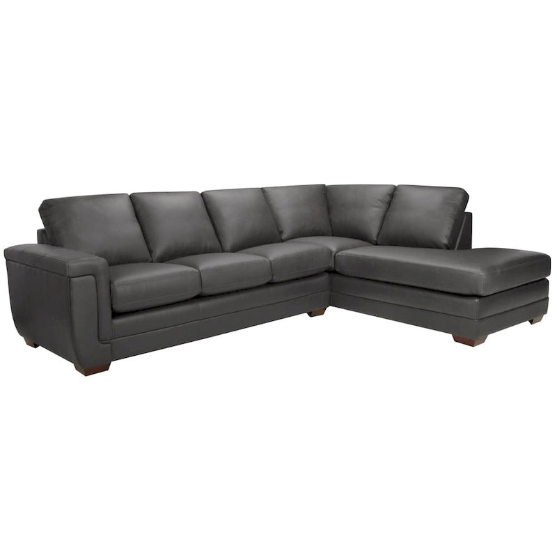Porsche Top-grain Italian Leather Sectional Sofa - 36.5 x 116 x 37