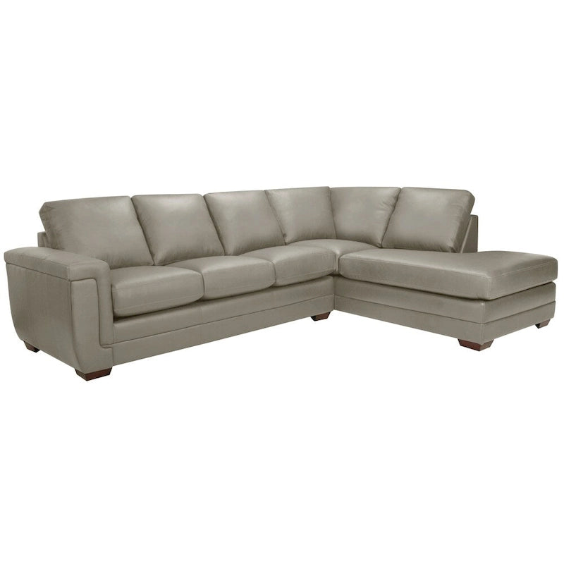 Porsche Top-grain Italian Leather Sectional Sofa - 36.5 x 116 x 37