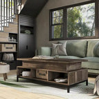 DH BASIC Rustic 47-inch Lift-Top Coffee Table with Storage