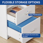 Moasis Computer Desk with Monitor Stand Home Office Gaming Desks with Drawer Filing Cabinet