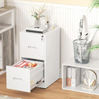 2 Drawer Vertical File Cabinet with Lock for Home Office