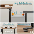 Electric Standing Desk Height Adjustable Computer Desk with Storage and Monitor Stand